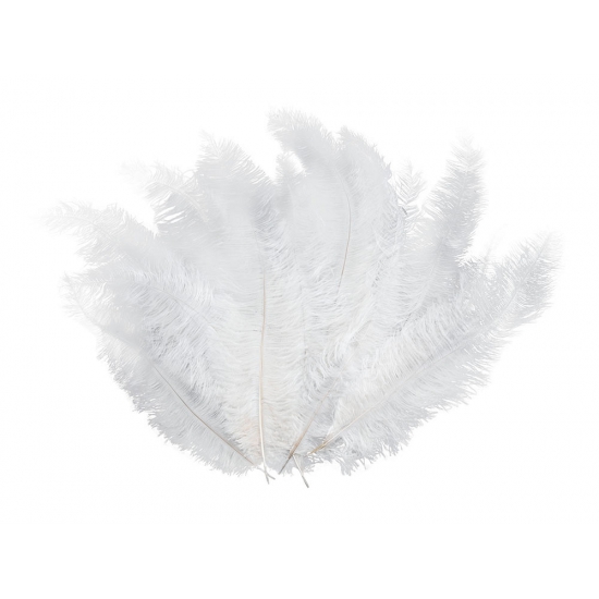 Image of 12 Luxe witte veren