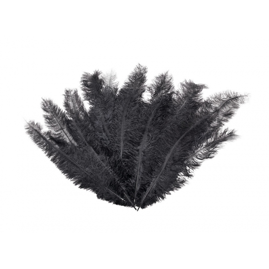 Image of 12 Luxe zwarte veren