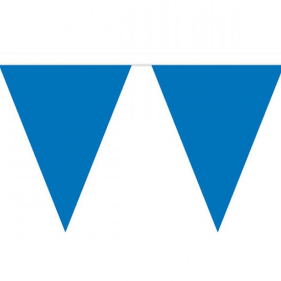 Image of Blauwe vlaggenlijn 10 meter