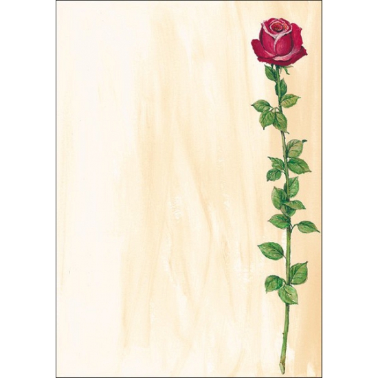 Image of Cadeautekst papier roos