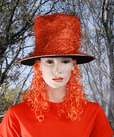 Image of Carnaval Oranje glitterhoed met pruik