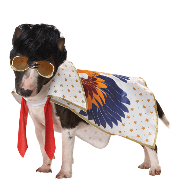 Image of Elvis verkleedkleding voor hondjes