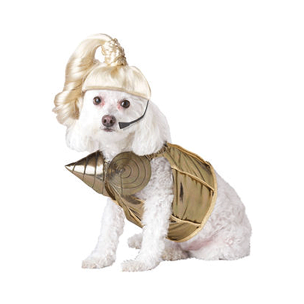 Image of Honden kostuum Madonna