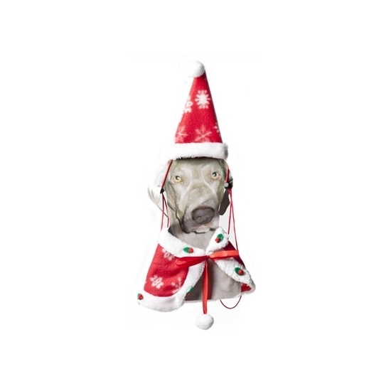 Image of Kerst Kerst cape en kerstmuts voor de hond