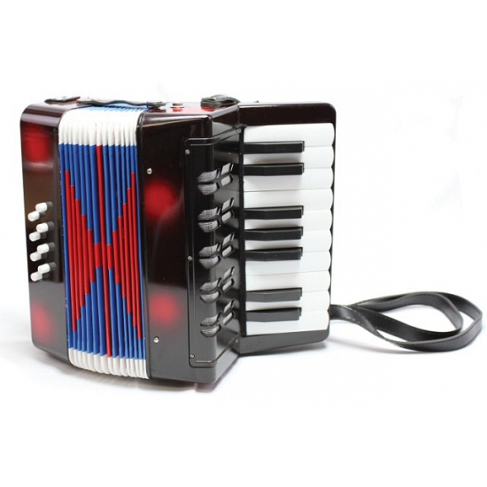 Image of Muziek accordeon speelgoed