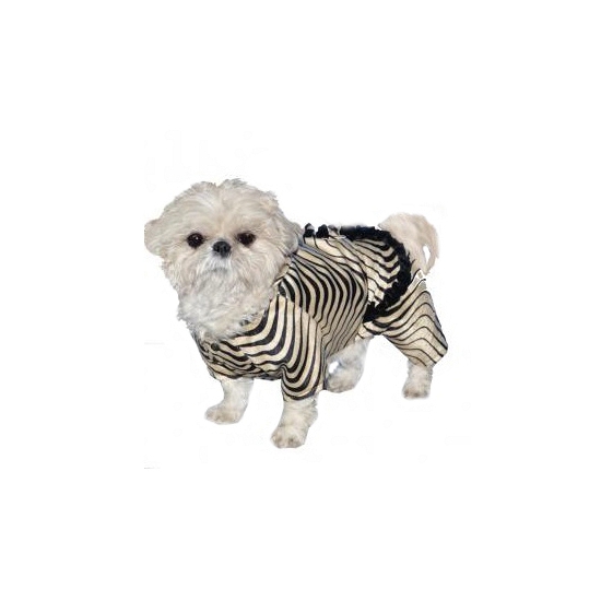 Image of Zebra pak voor honden