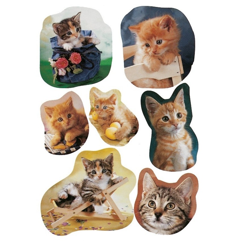 21x Katten/poezen dieren stickers