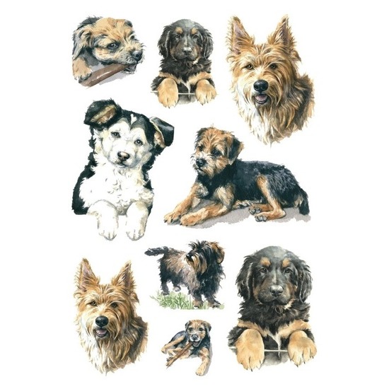 27x Honden/puppy dieren stickers