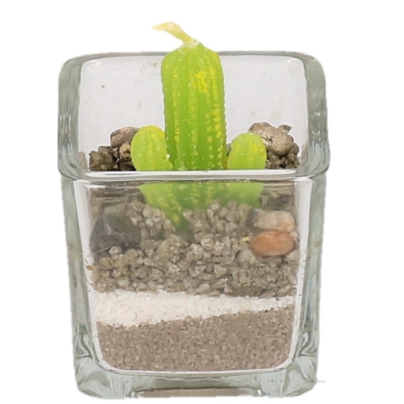 Cactus kaarsje in glas 5 cm