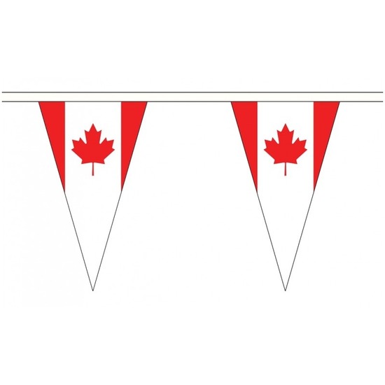 Canada landen punt vlaggetjes 5 meter