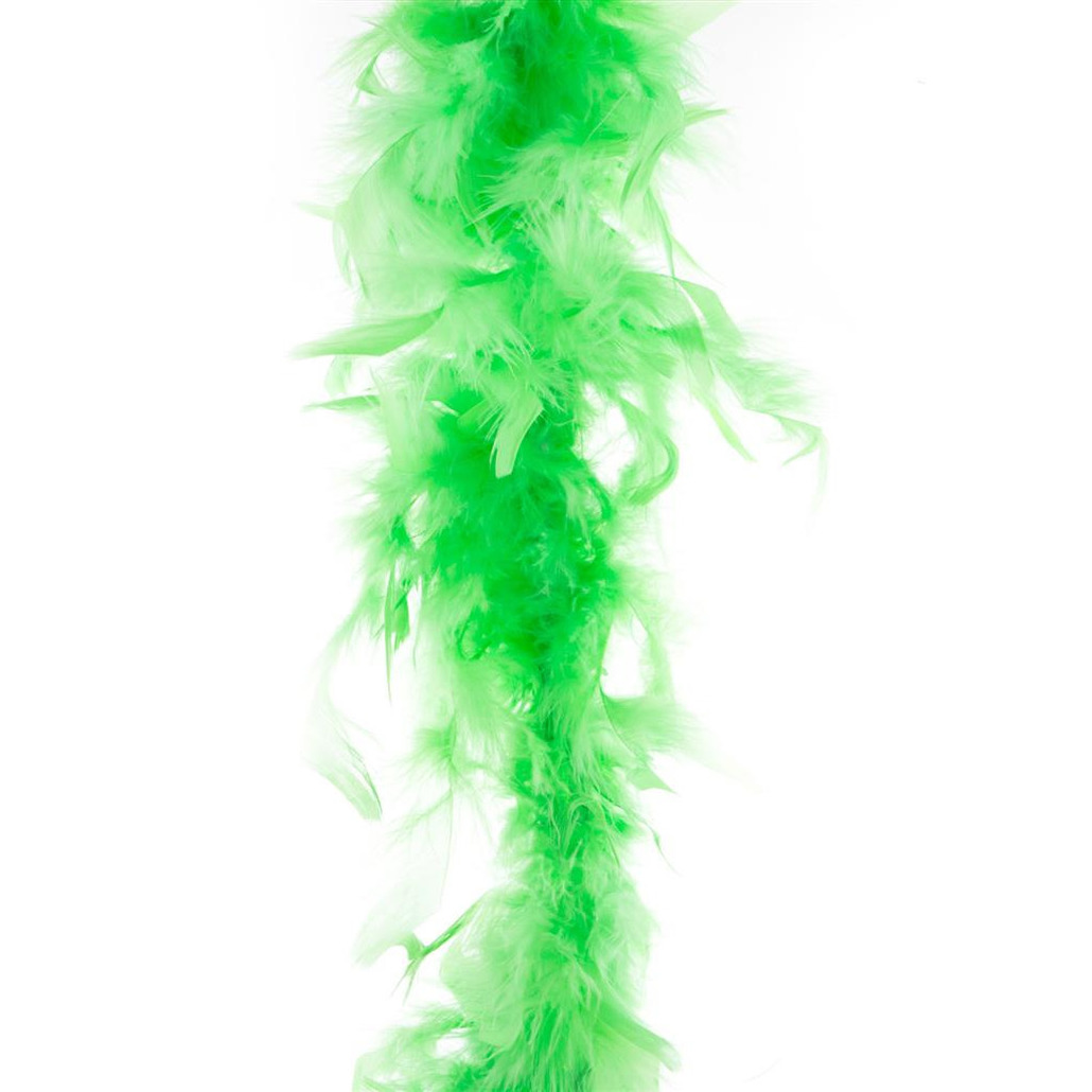 Carnaval verkleed veren Boa kleur fluor groen 2 meter