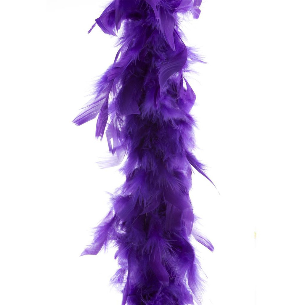 Carnaval verkleed veren Boa kleur paars 2 meter