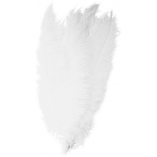 Grote veer/struisvogelveren wit 50 cm verkleed accessoire