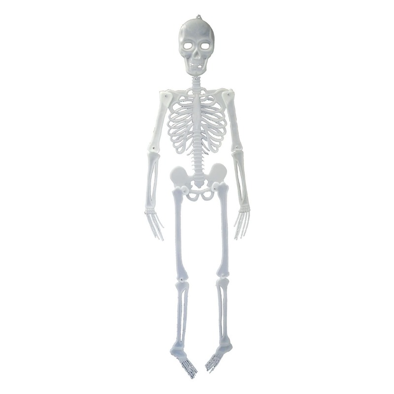 Halloween - Glow in the dark hagend decoratie skelet 150 cm