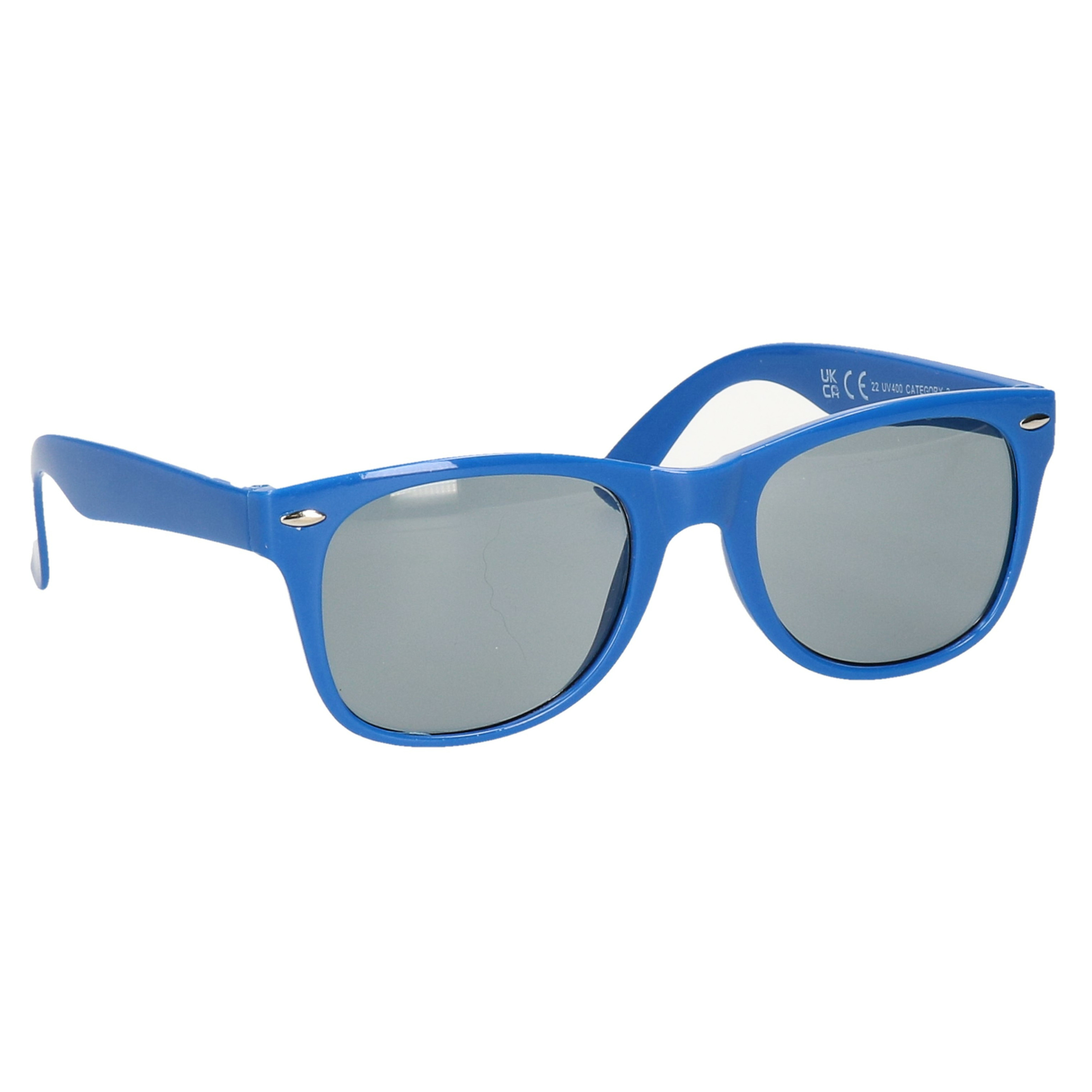 Hippe feest zonnebril met blauw montuur