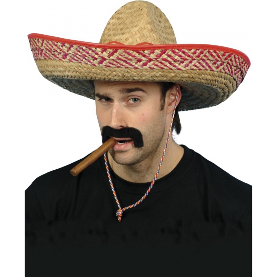 Mexicaanse sombrero hoed verkleedaccessoire voor volwassenen