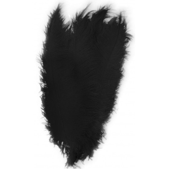 Pieten veer/struisvogelveren zwart 50 cm verkleed accessoire