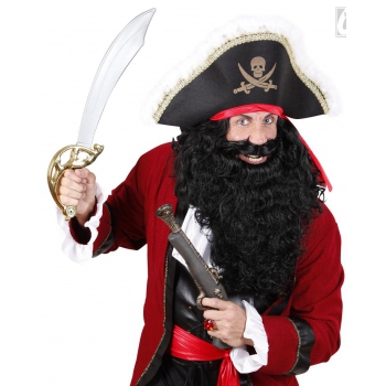 Piraat baard Blackbeard