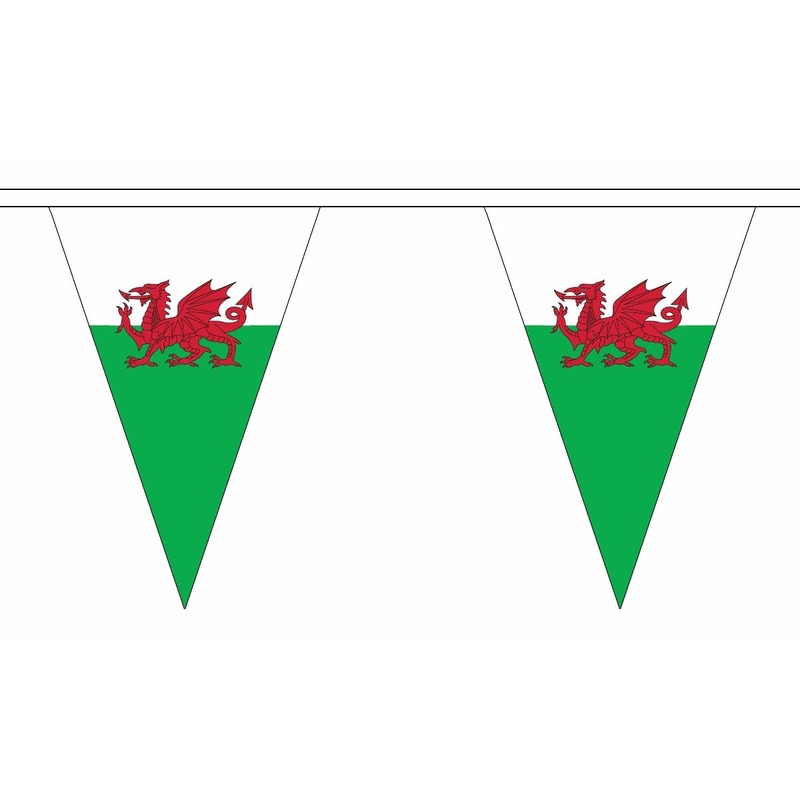 Polyester vlaggenlijn Wales 5 meter