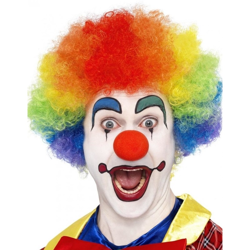 Regenboog clown verkleed pruik voor volwassenen