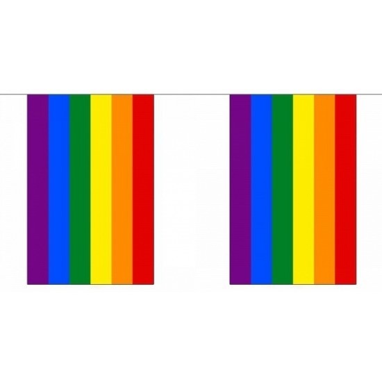 Vierkante regenbogen vlaggenlijn 36 m