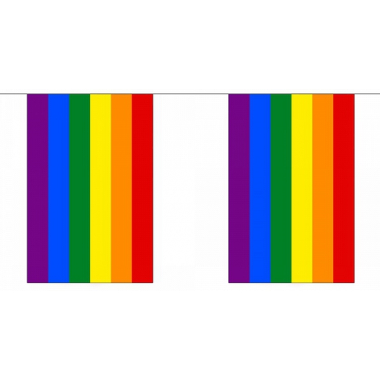 Vierkante regenbogen vlaggenlijn 9 m