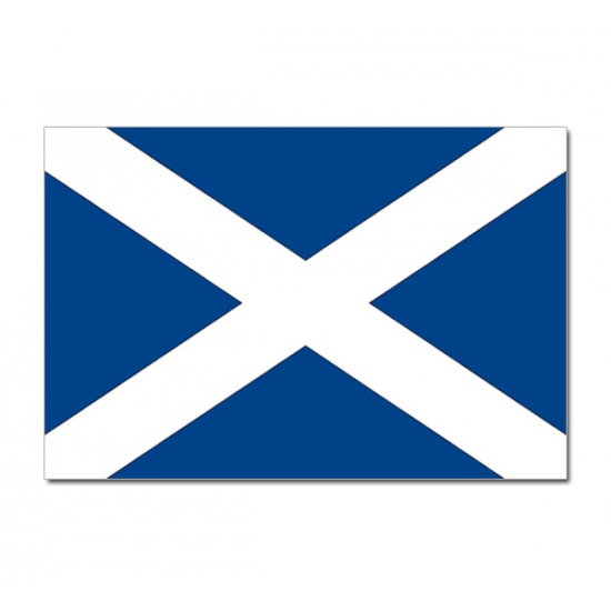 Vlag Schotland 90 x 150 cm feestartikelen
