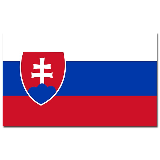 Vlag Slowakije 90 x 150 cm feestartikelen