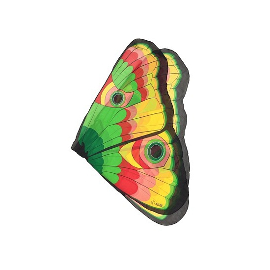 Vlinder vleugels gekleurd voor kids