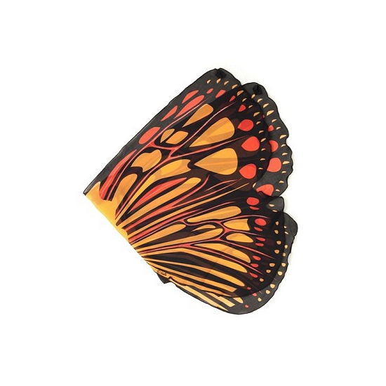 Vlinder vleugels oranje voor kids