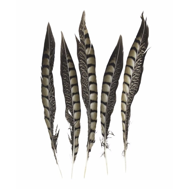 Vogelveren/Fazantenveren - Setja van 5x stuks - Lady Amherst fazant veren van 28 cm