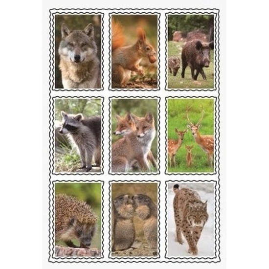 Wilde dieren 3D stickers