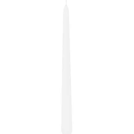6x White dining candles 30 cm 13 hours