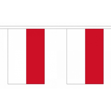 Indonesie versiering vlaggenlijn 9 m