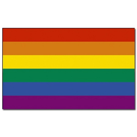 Regenboog vlag 90 x 150 cm met twee gratis regenboog stickers