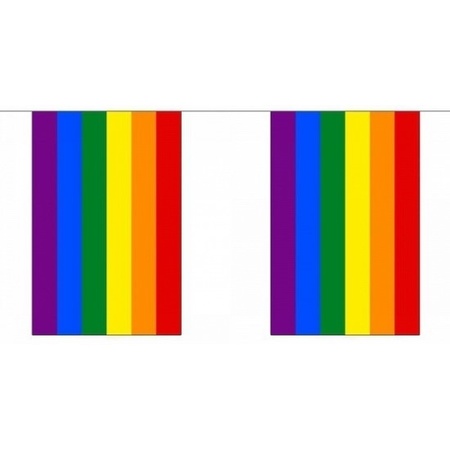 Vierkante regenbogen vlaggenlijn 18 m